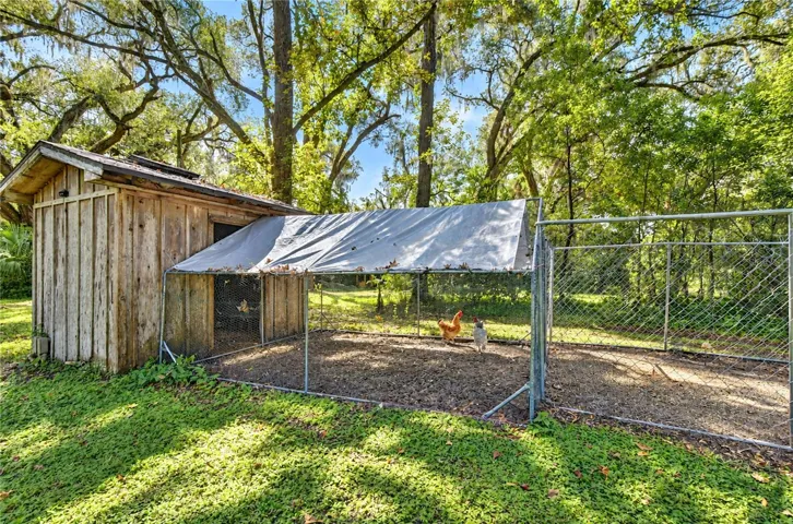 Chicken Coop