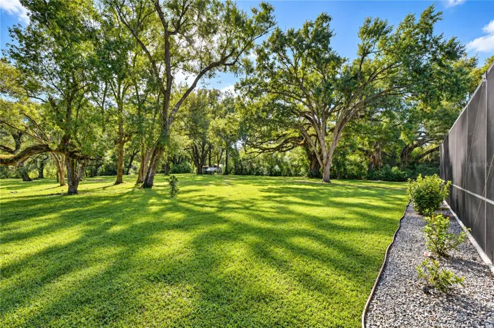 Gorgeous Backyard