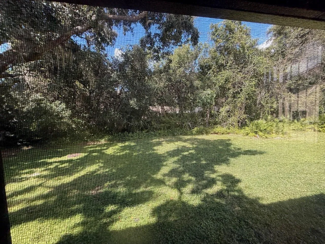 View off your Rear Patio of  Deer , Nature and Trees!