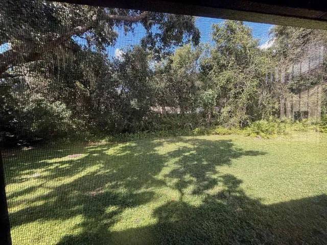 View off your Rear Patio of  Deer , Nature and Trees!
