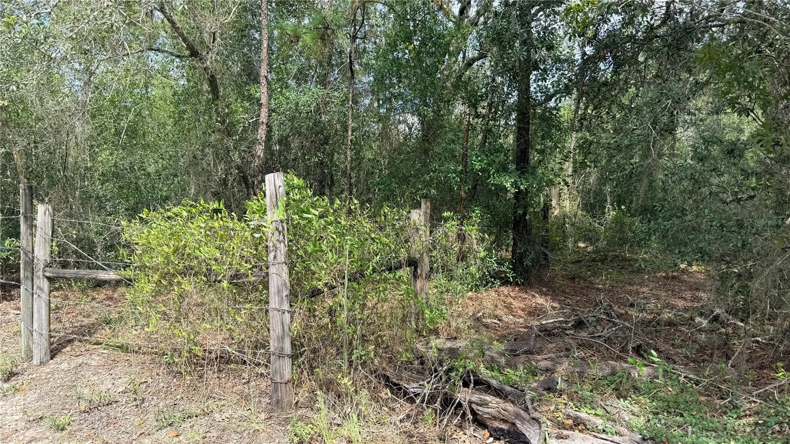West Boundary Fence