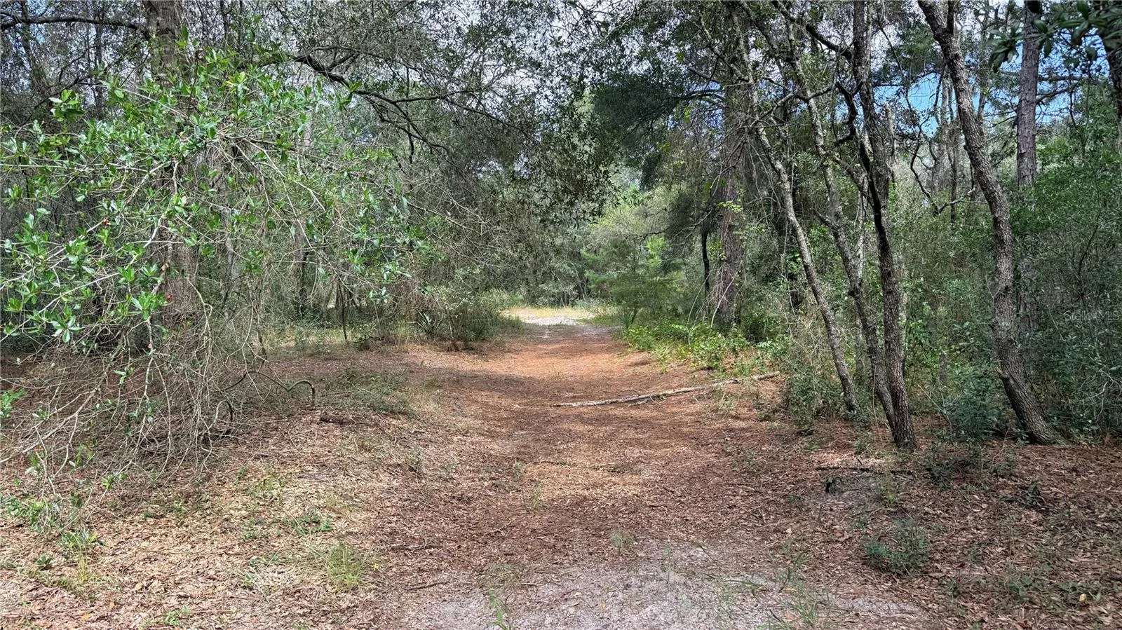 Property is walkable