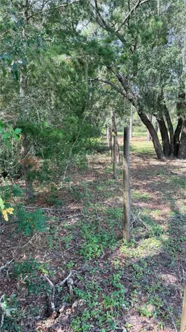North Fence Line