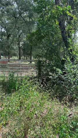 East Boundary Fence