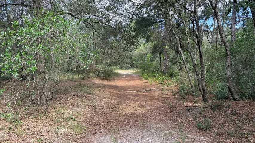 Property is walkable
