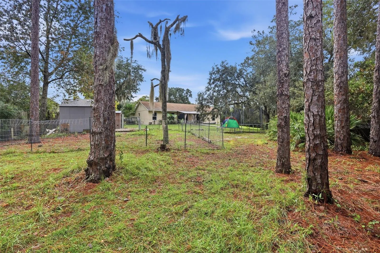 Mature trees on outskirts of property line.