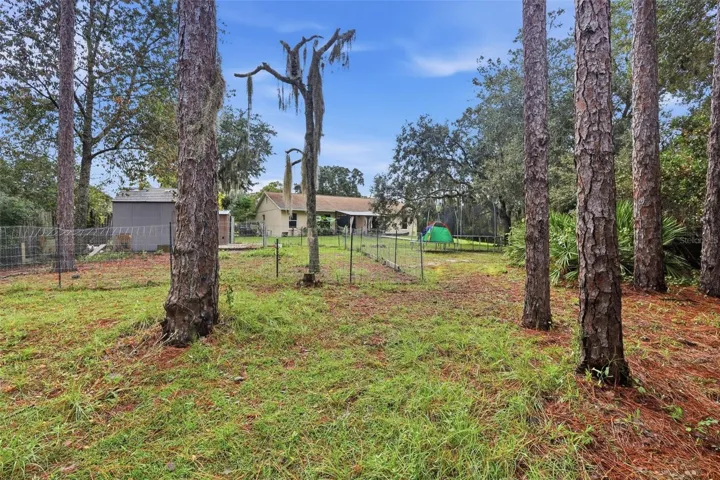 Mature trees on outskirts of property line.