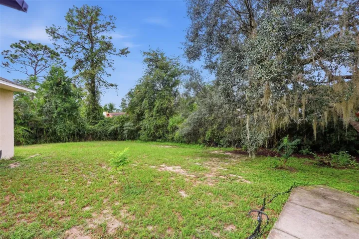 Large backyard and side yard.