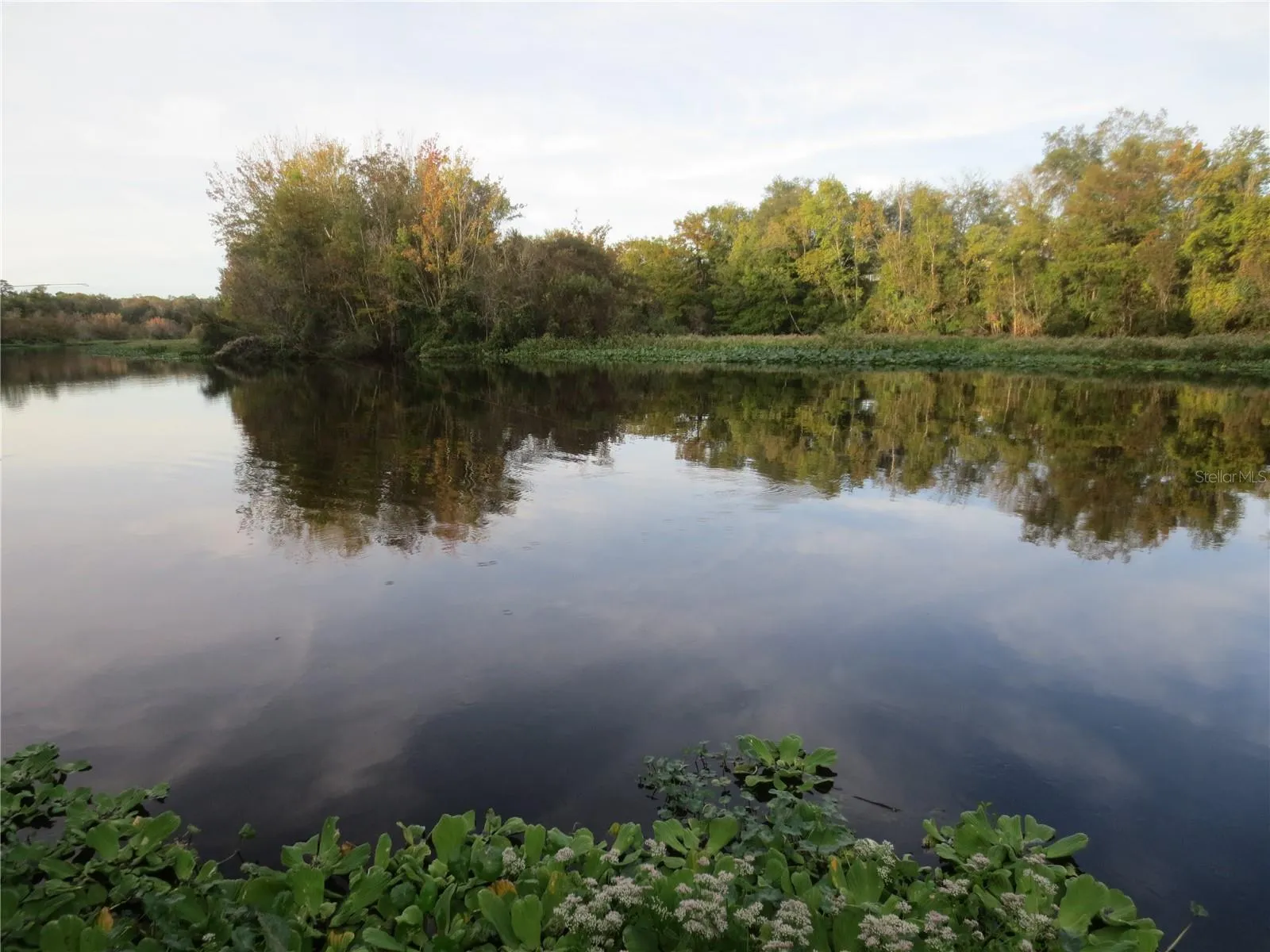 OCALA NATIONAL FOREST ACTIVITIES