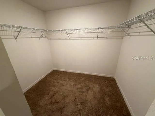 Spacious Walk-In Closet