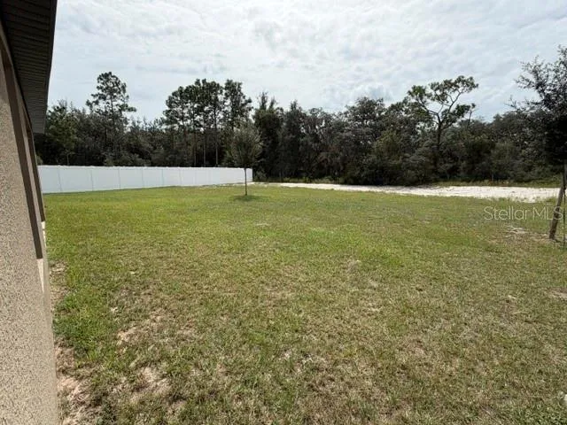Huge Backyard and Conservation Area View