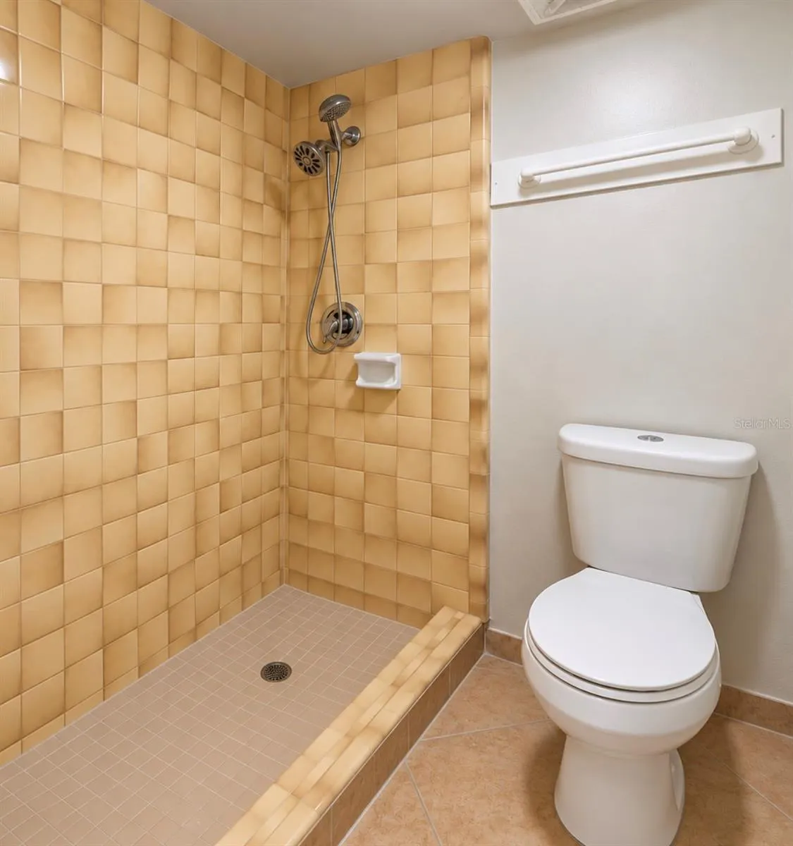 Primary updated shower enclosure and newer toilet.