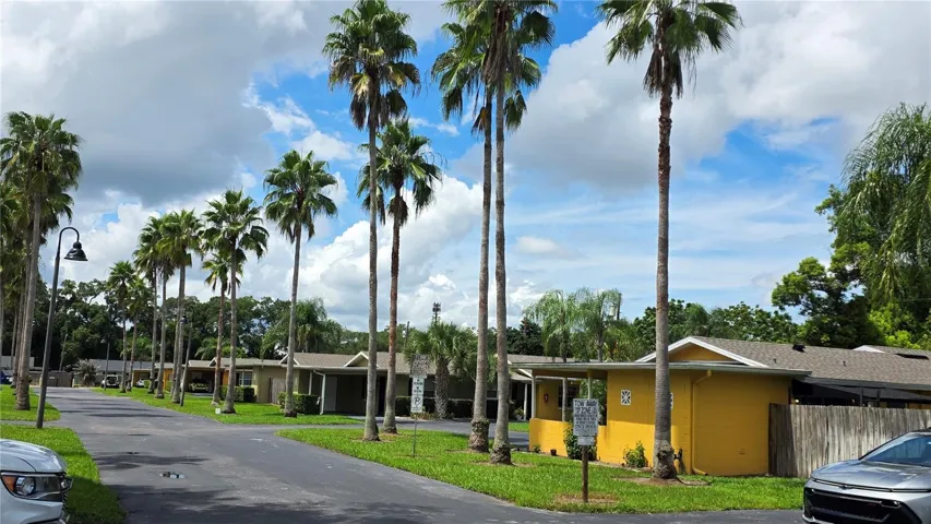 Palm Tree lined Community