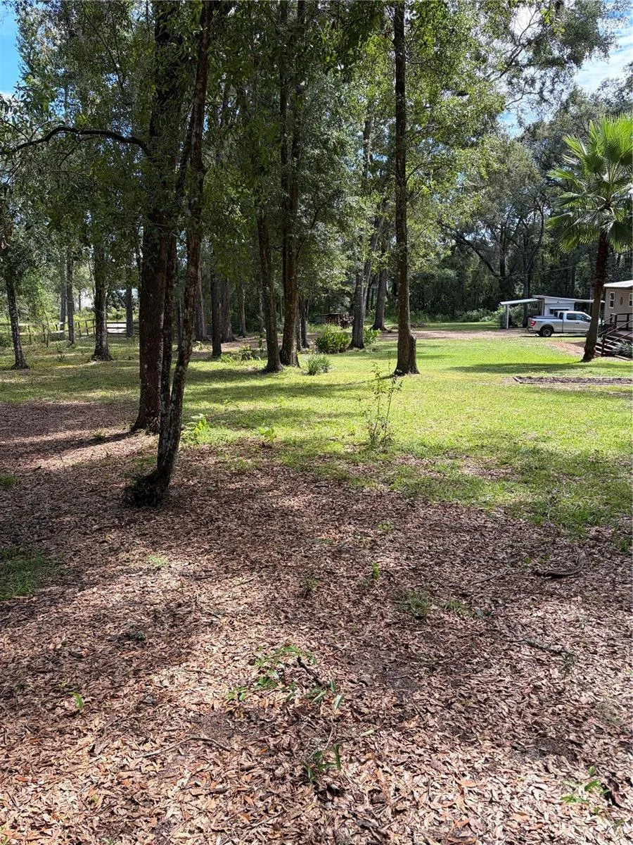 front yard and second driveway