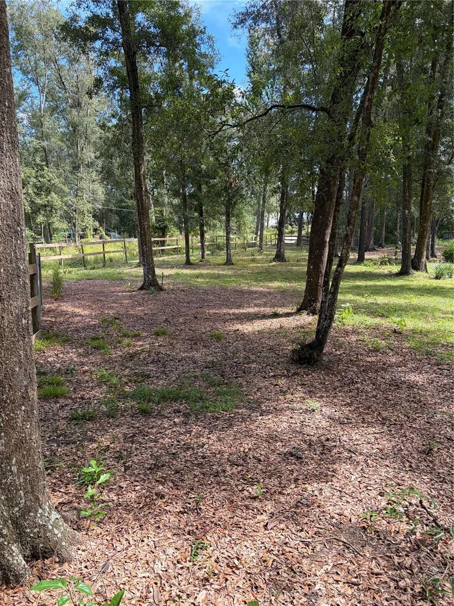 part of front yard