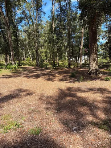 side yard