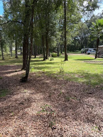 front yard and second driveway