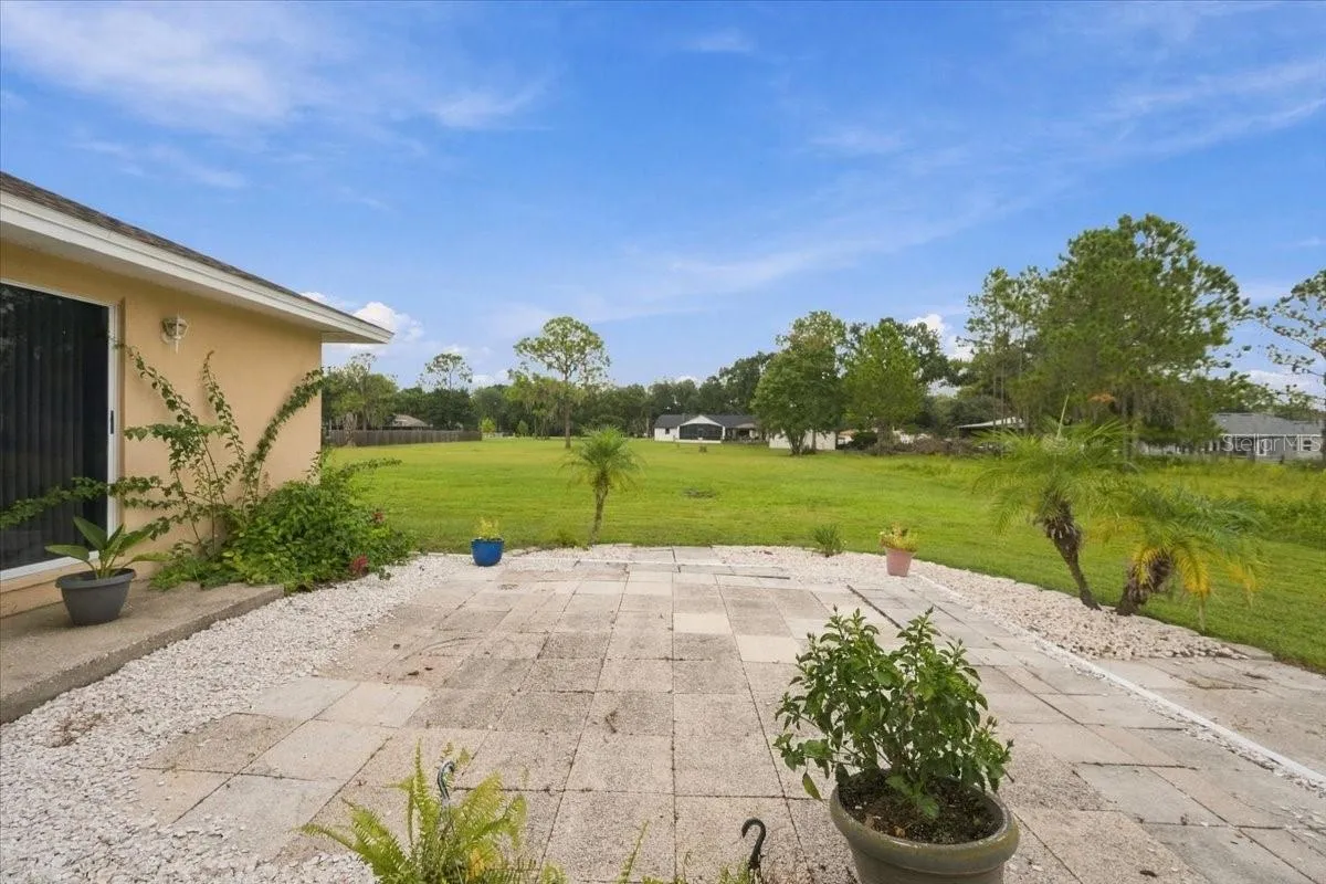 Rear patio