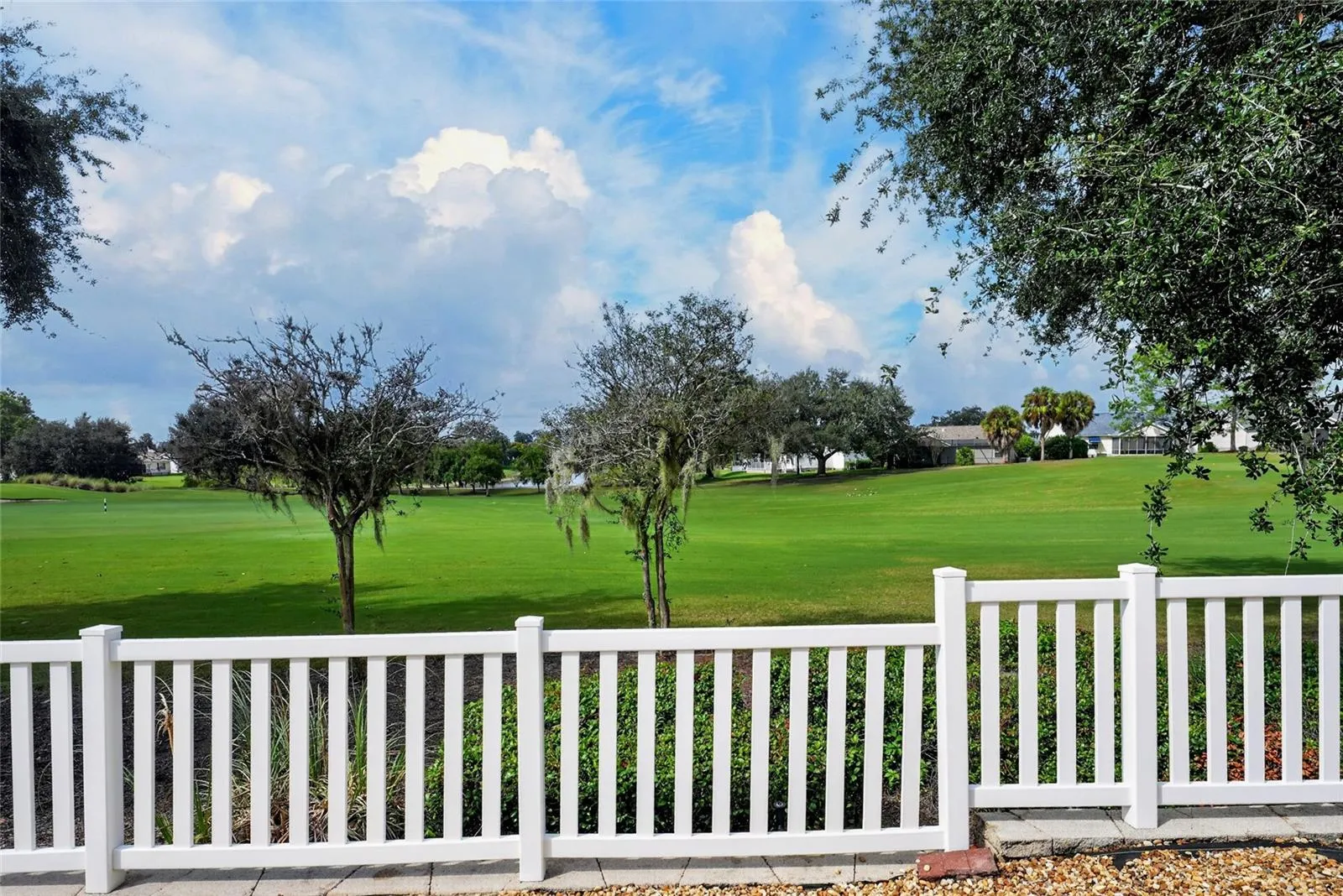 Back yard view