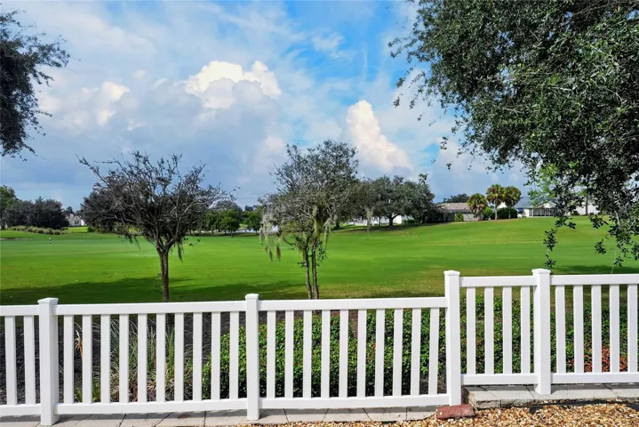 Back yard view