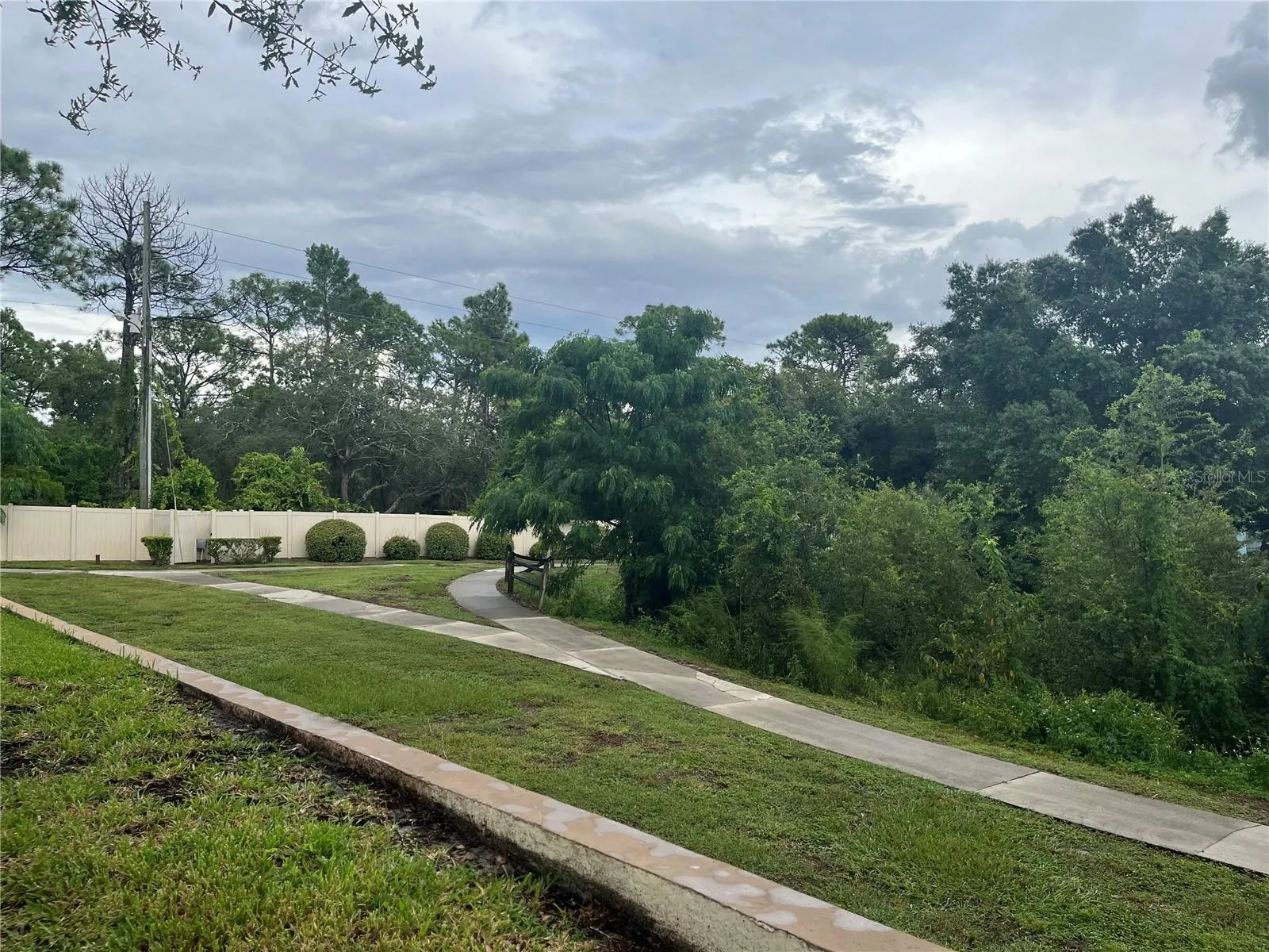 Outside View