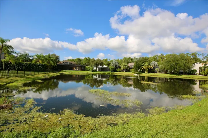 Pond View
