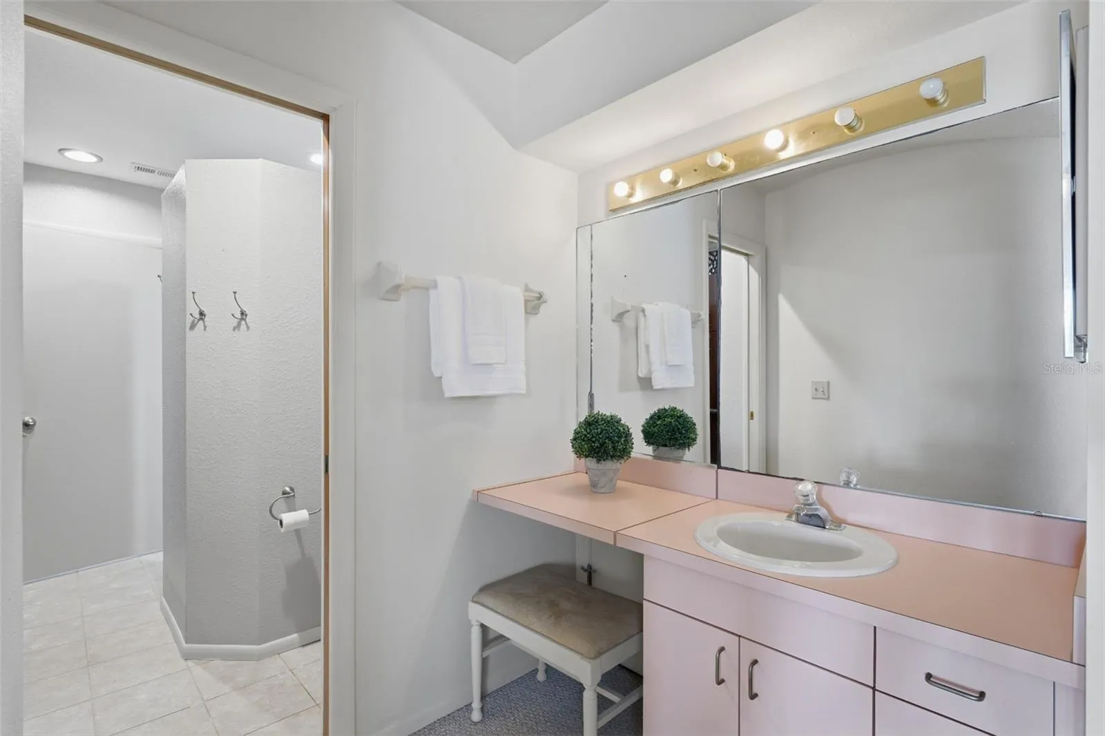 Primary Dressing Area/Storage Behind Vanity