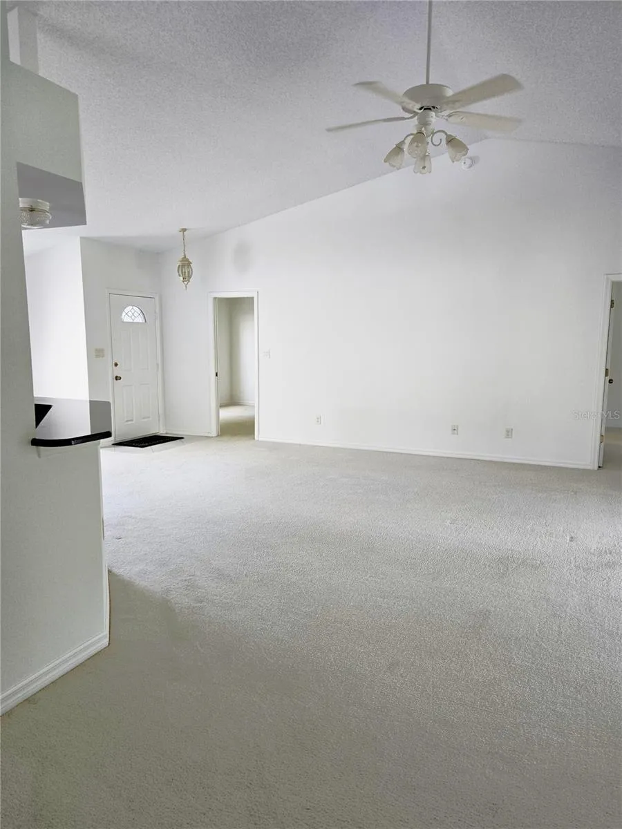 View From Foyer