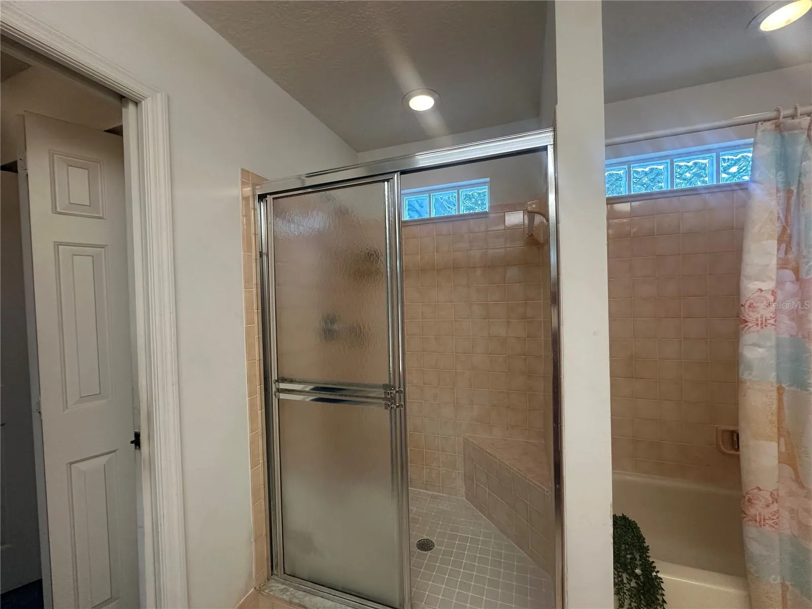 Master Shower with separate tub