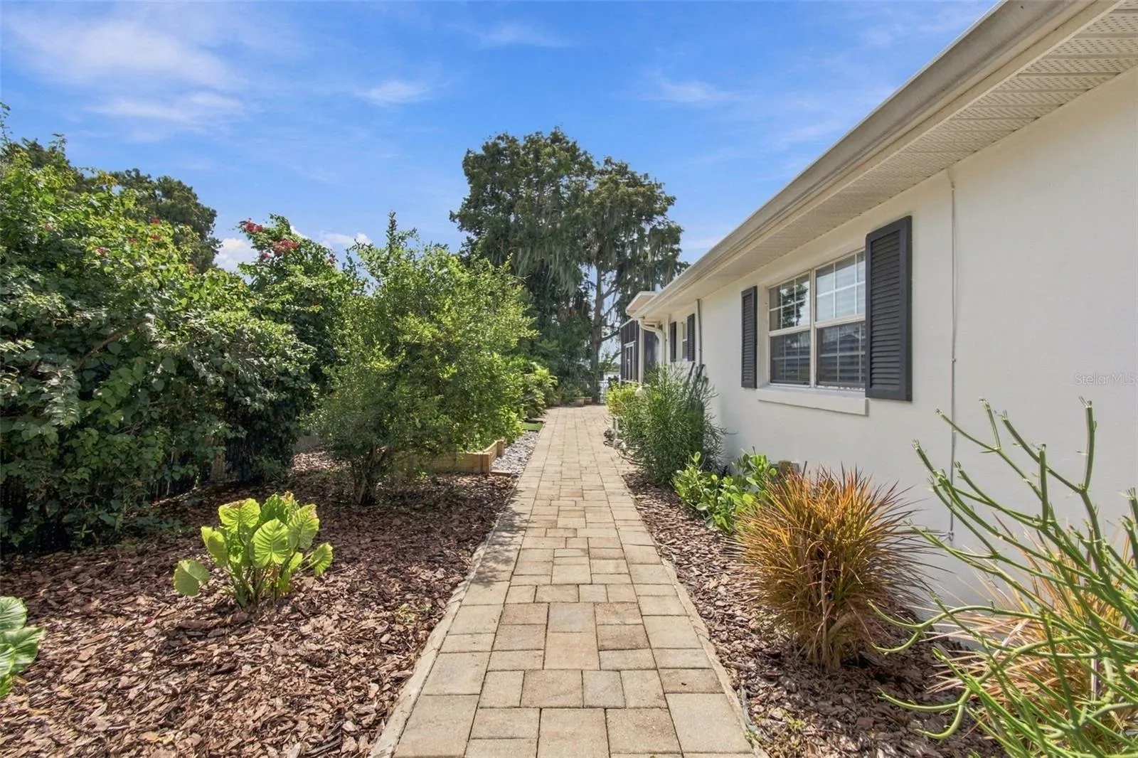 Side garden/dog run