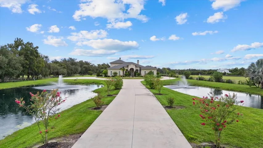 A daylight shot of the long driveway surrounded by crepe myrtle