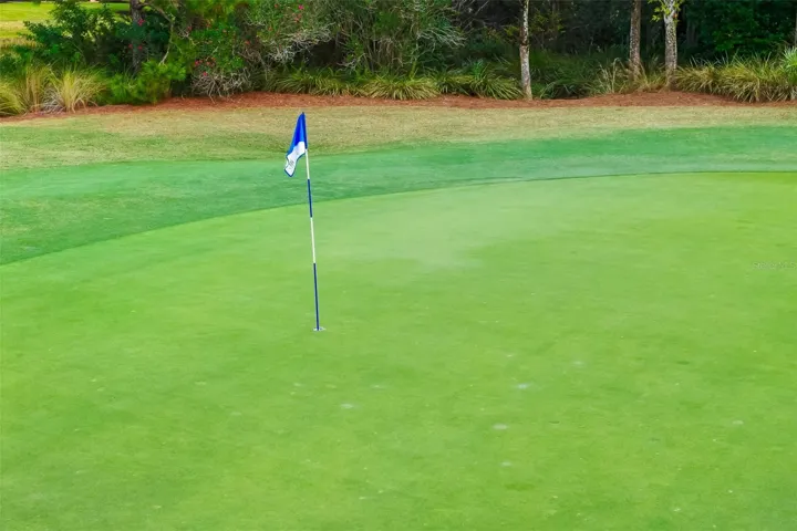Lush greens and fairways!