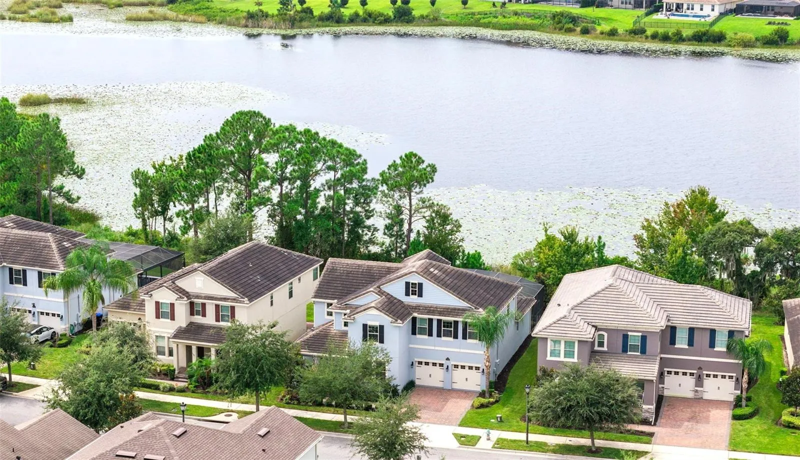 Expansive View of Lake