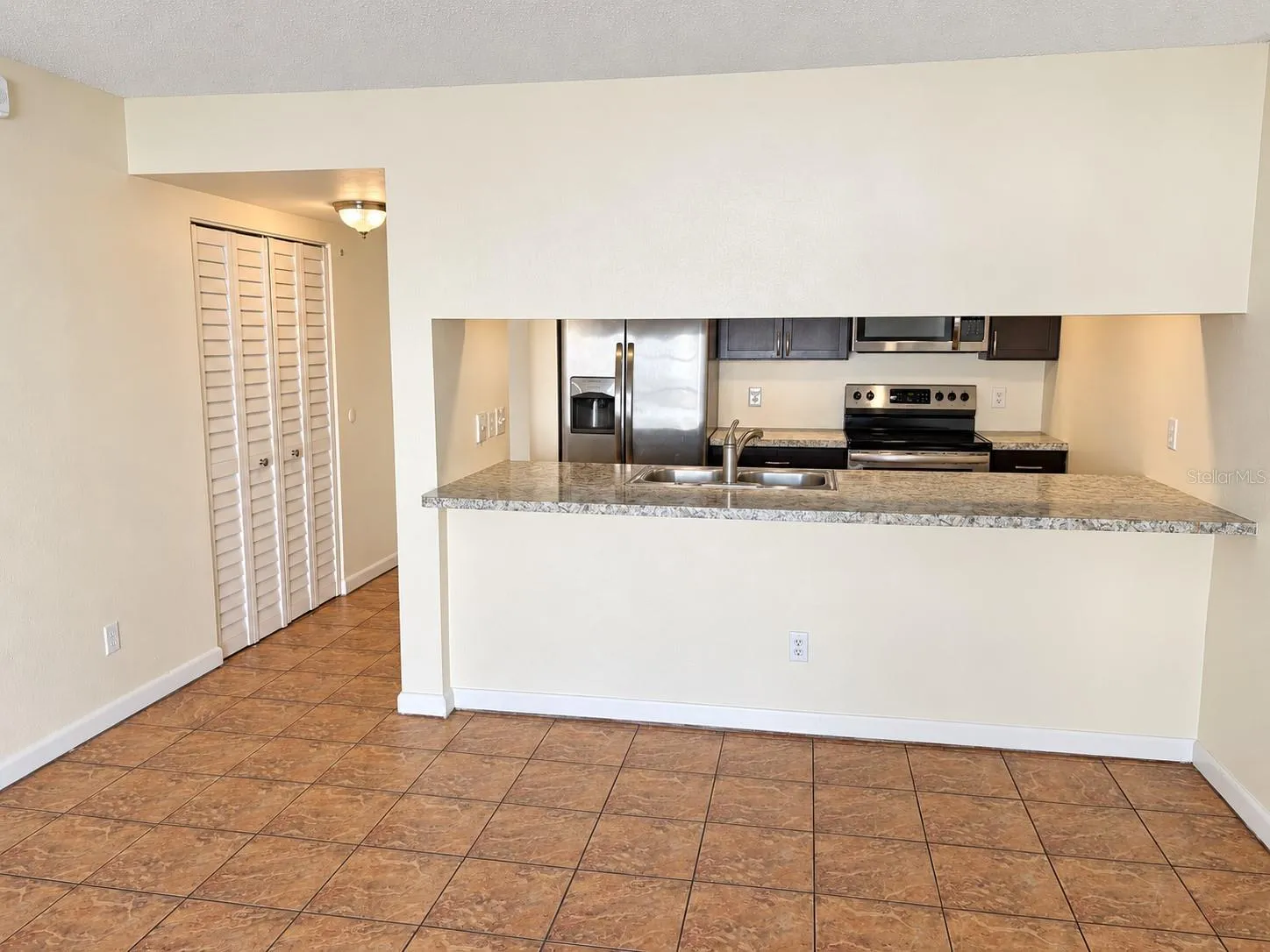 Living room-Kitchen