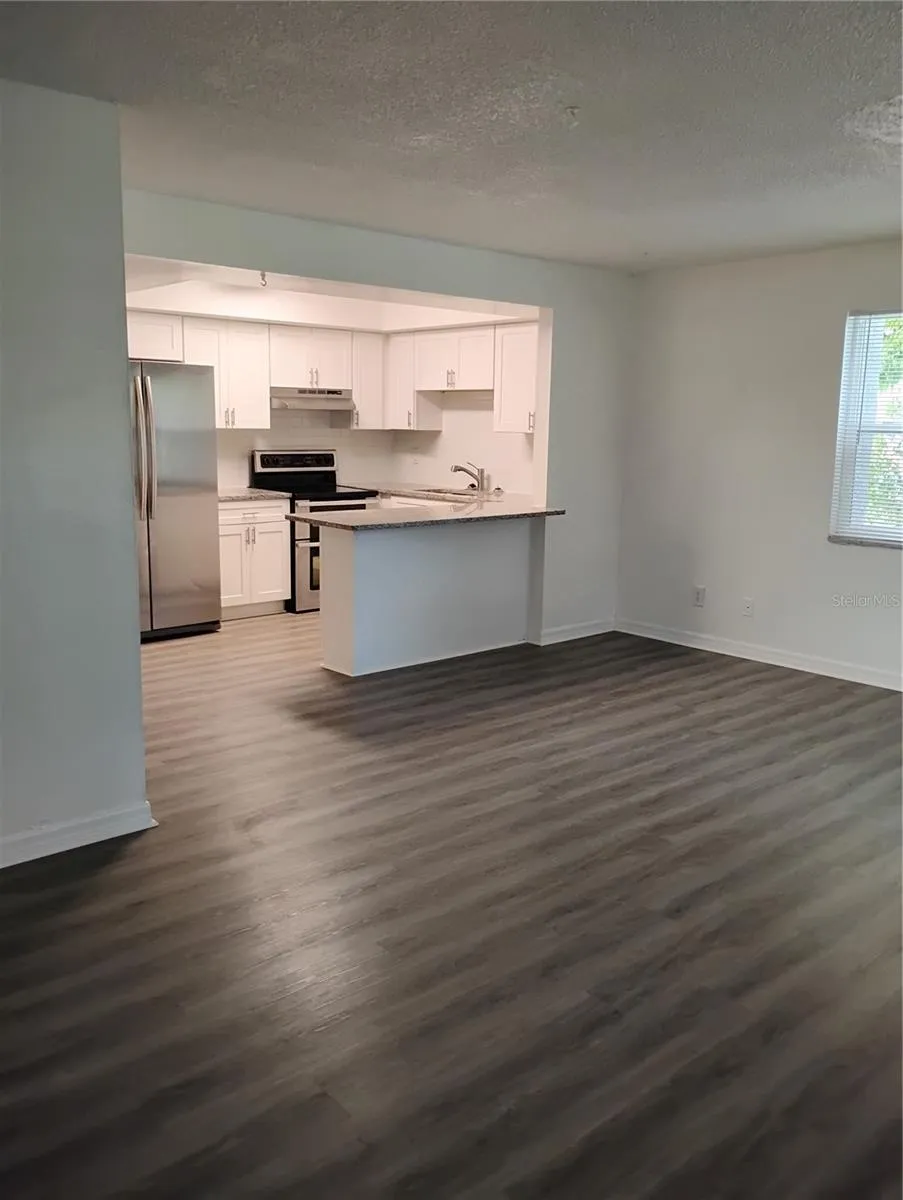 Entrance view of Living Room &amp; Kitchen.