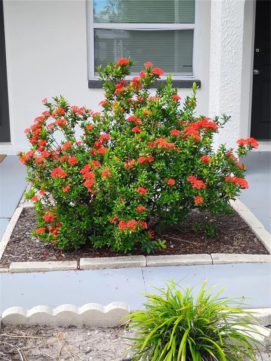 Nicely landscaped.