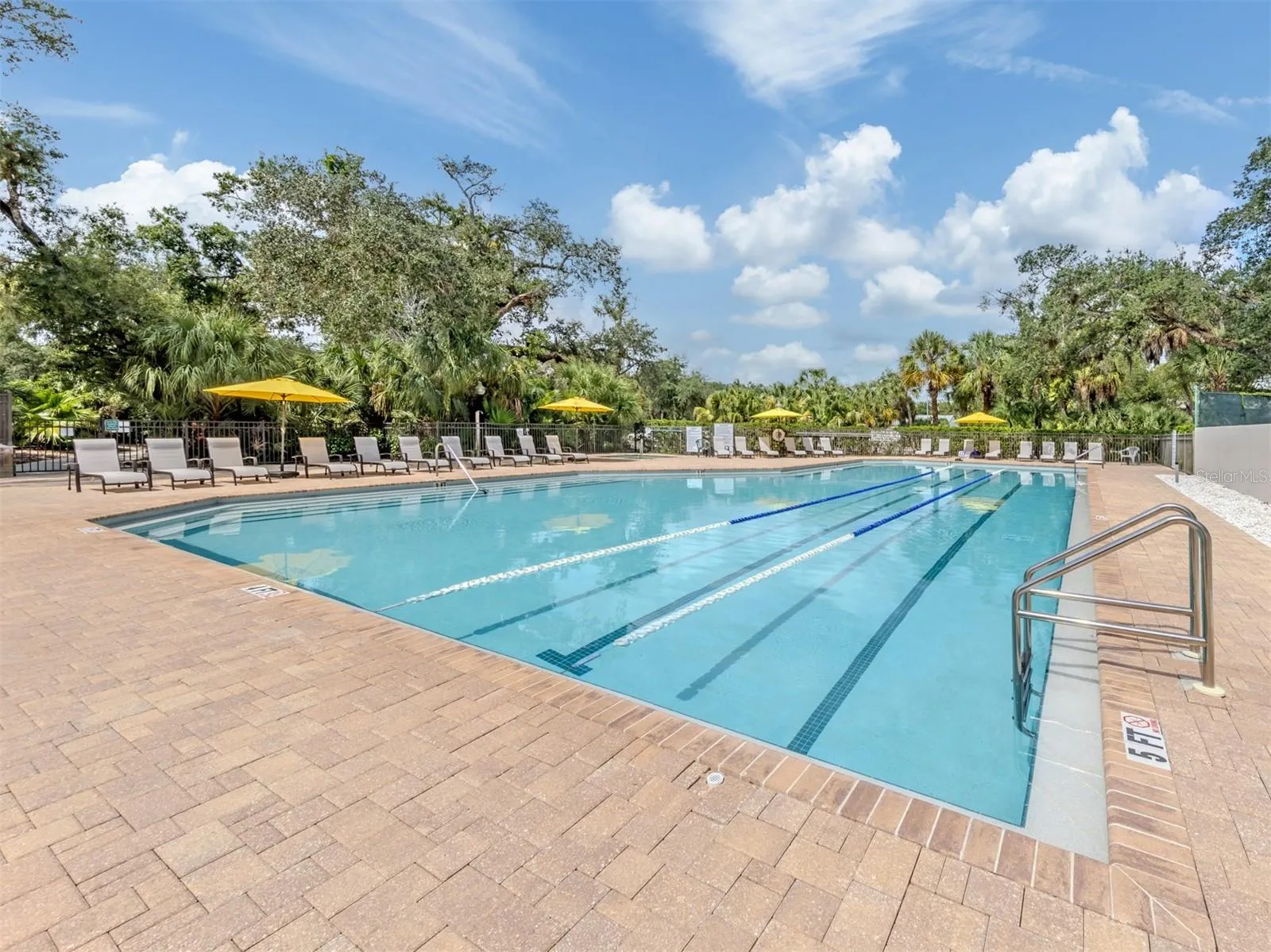The Meadows Pool