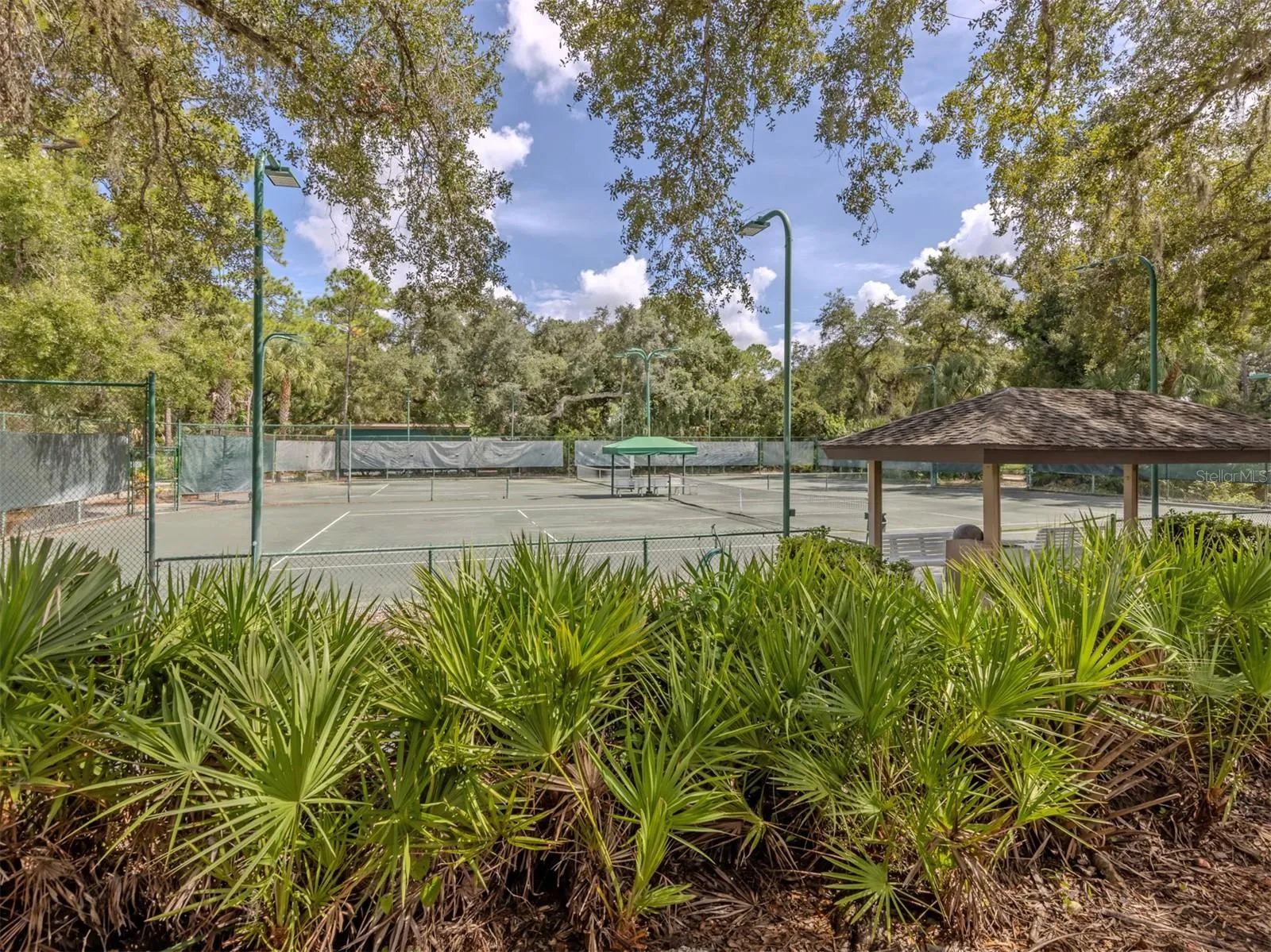 The Meadows Tennis Courts