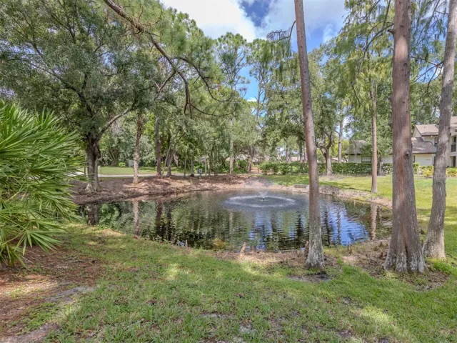 View of pond through the rear