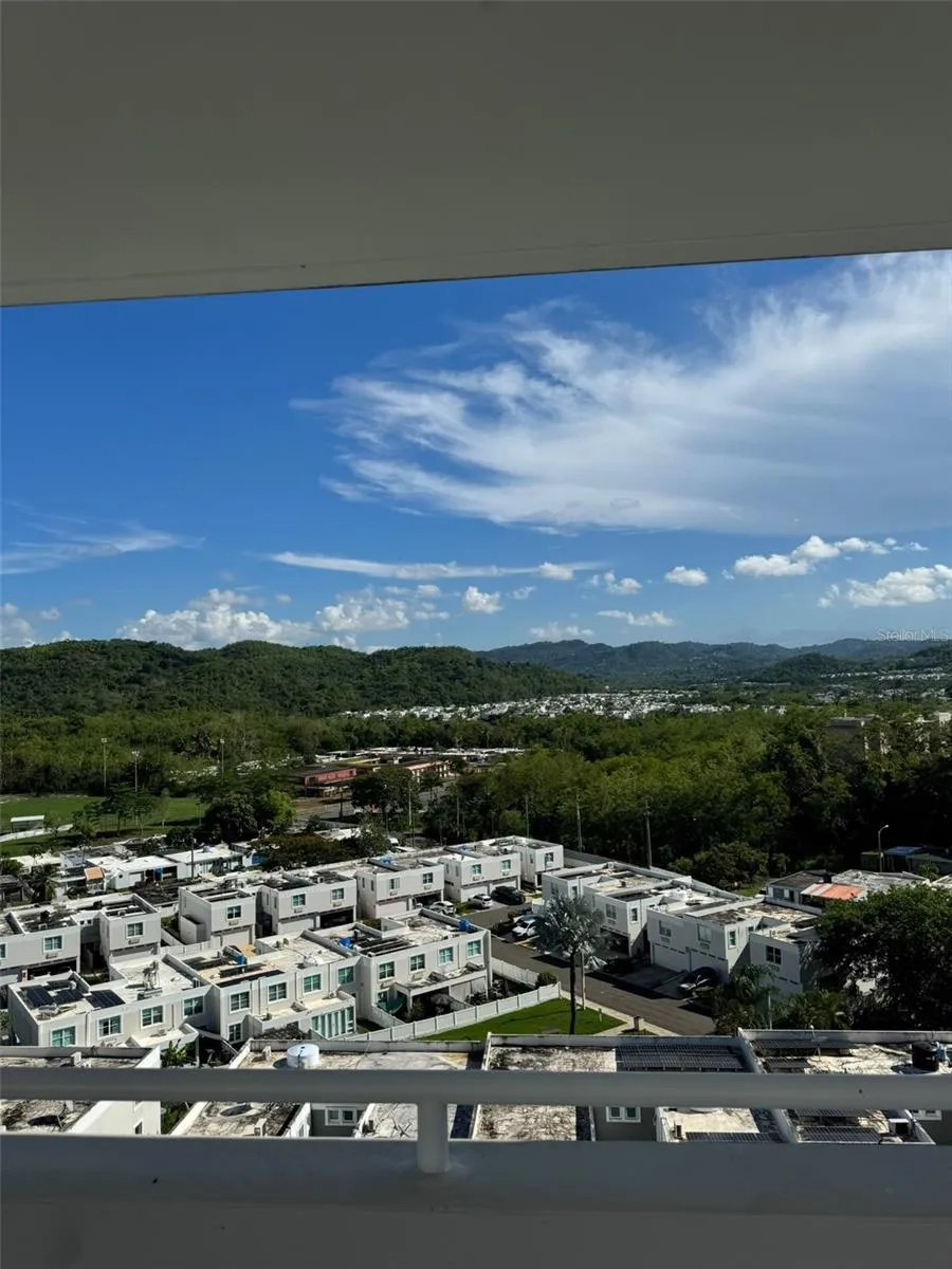 City View