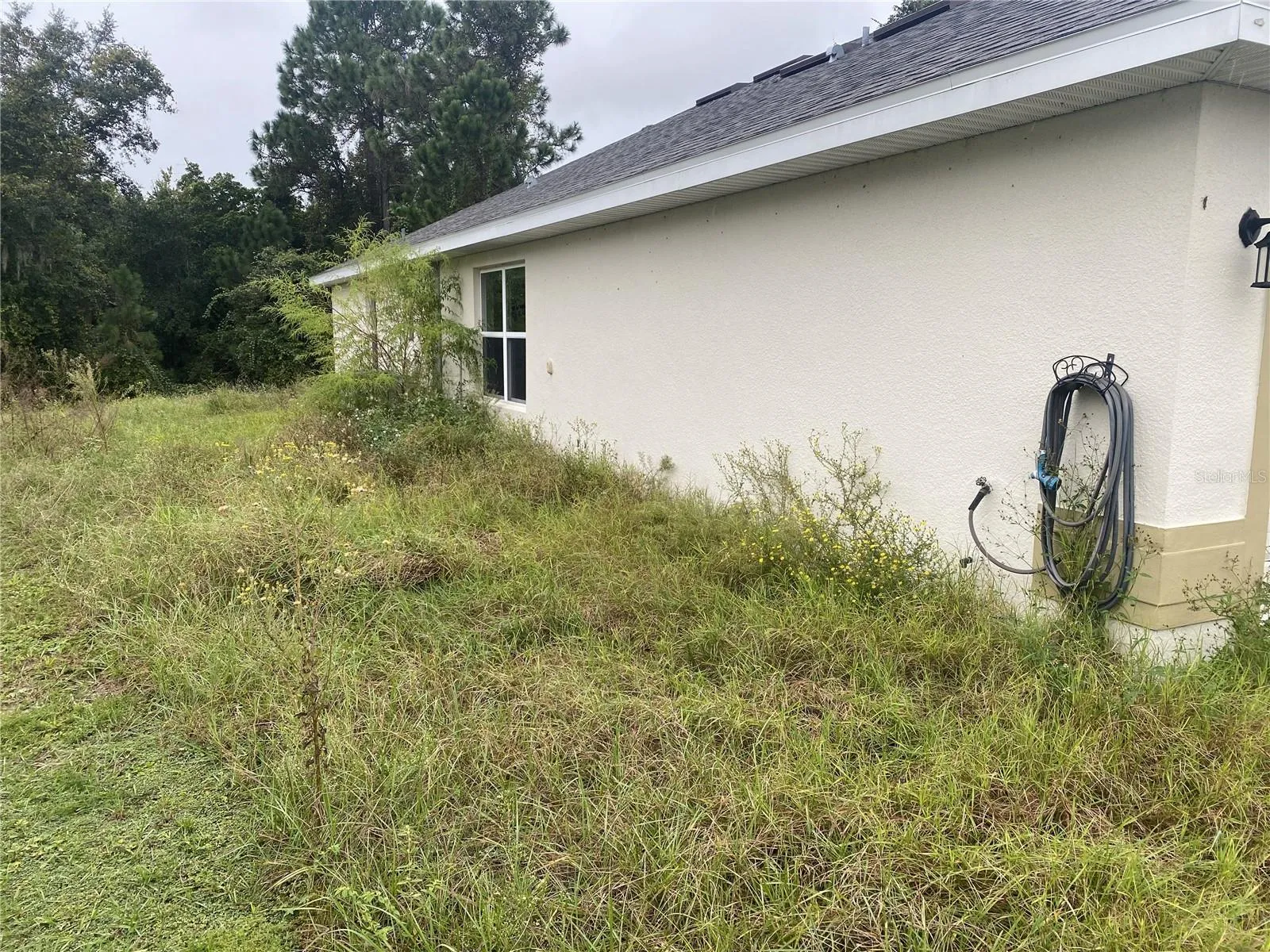 Side Yard Prior to Grass Cutting.