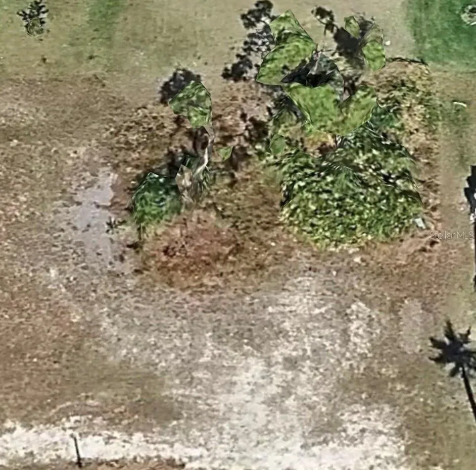 satellite view