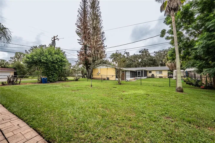 Back Yard