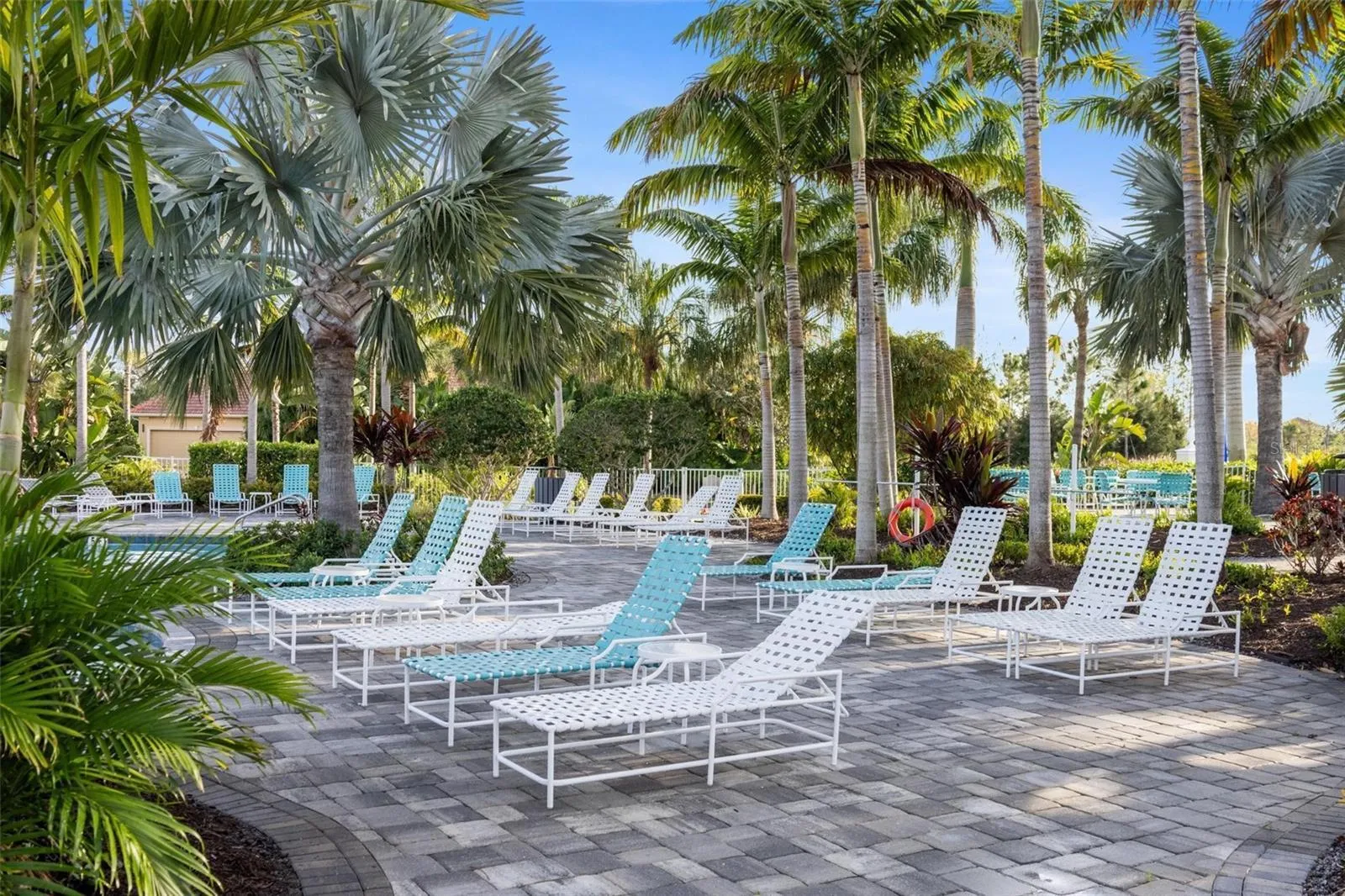 Lounge chairs for enjoying the community pool