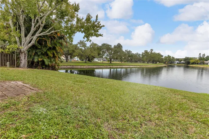 Backyard View of Pond