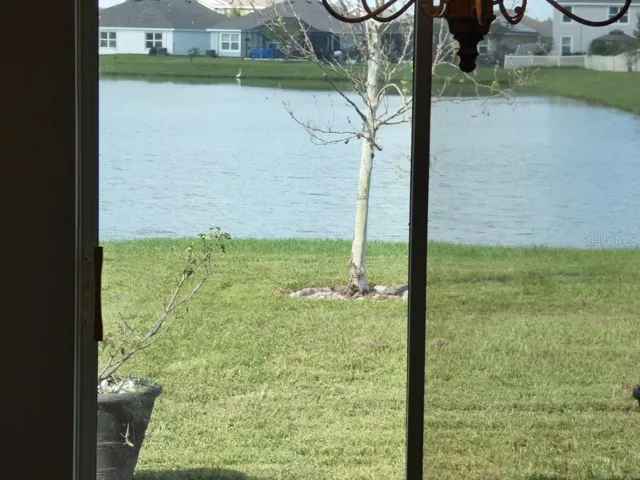 View From Inside the Home:)