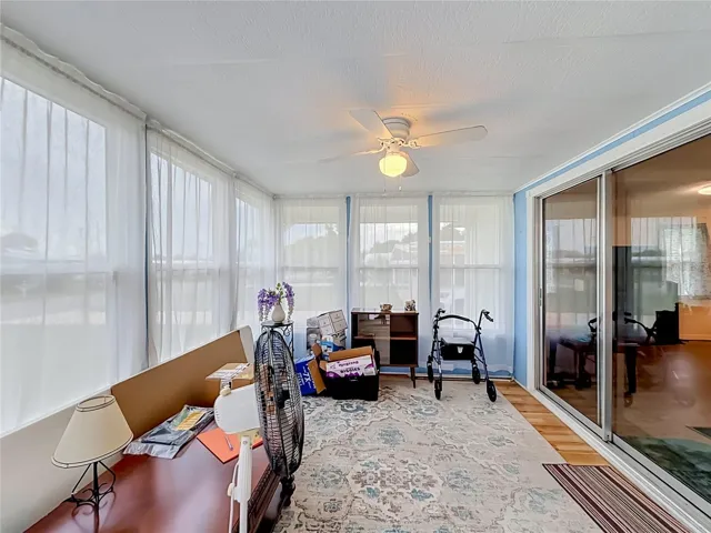 Florida Room with Sunlight