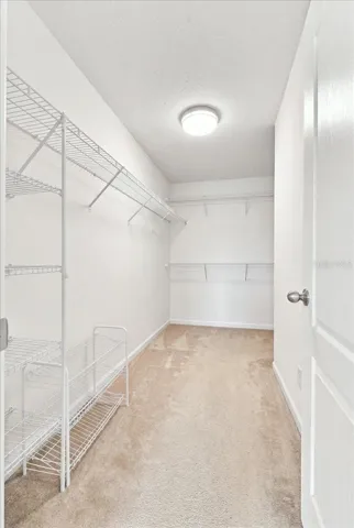 Master walk in closet with shelves