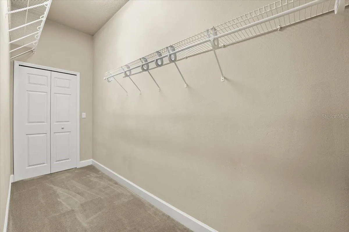 Primary Walk-in Closet #2