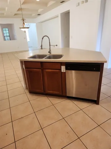 Sink/ Dishwasher